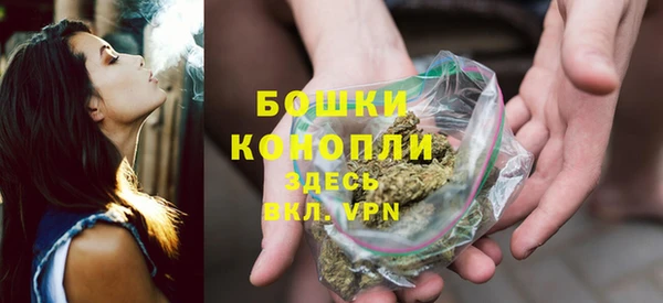 прущие грибы Липки