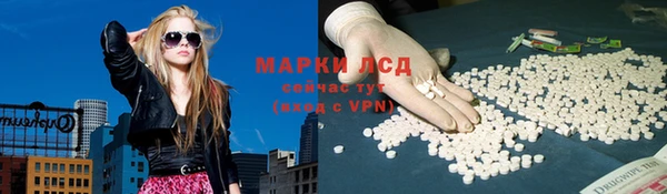прущие грибы Лиски