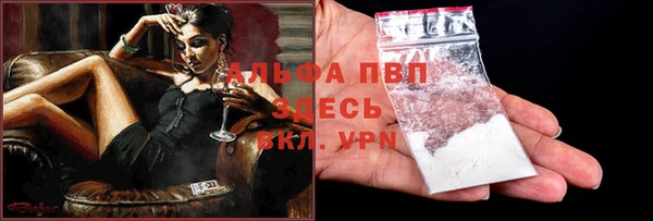прущие грибы Липки