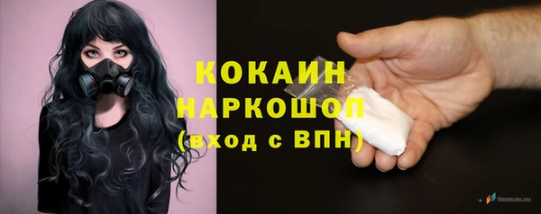 прущие грибы Липки