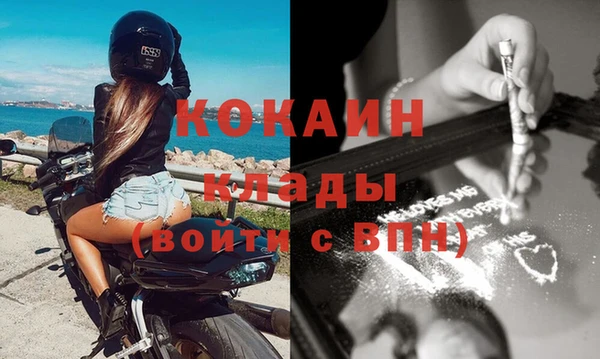 прущие грибы Липки