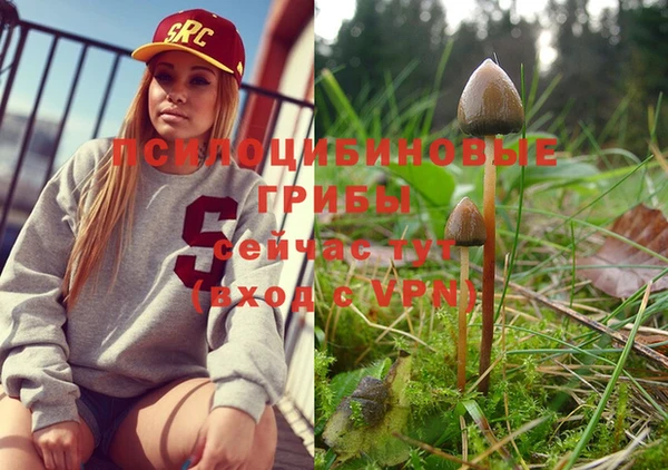 прущие грибы Лиски