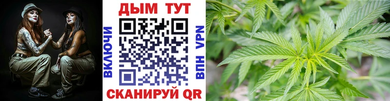 Бошки Шишки THC 21%  Купить где  Заозёрный 